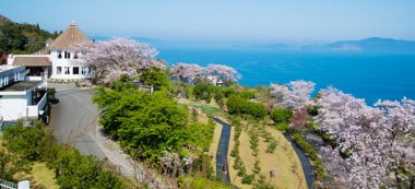 観光農園