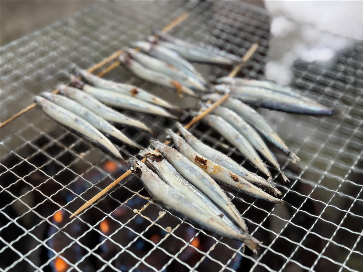 キビナゴ網焼き画像の画像