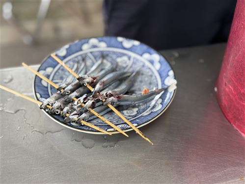 キビナゴのぷす焼き