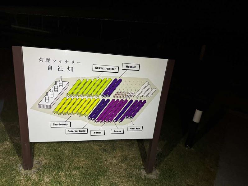 5_ワイン園地図