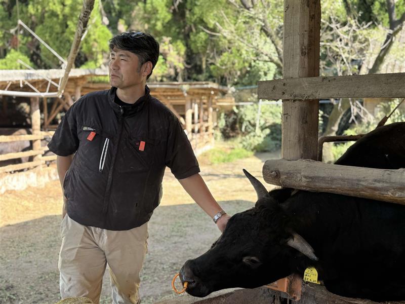 9 インタビューと牛