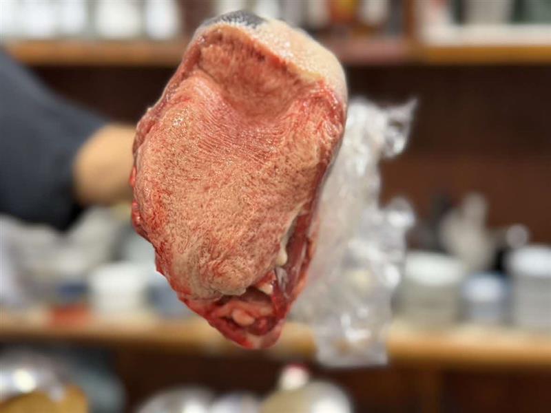 15焼肉もっこす牛タン（調理前