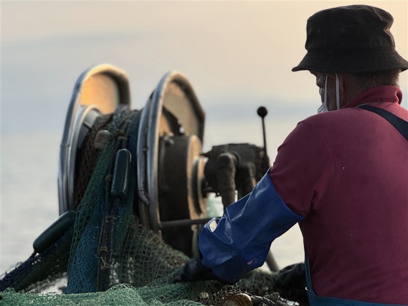 5 網を仕掛ける