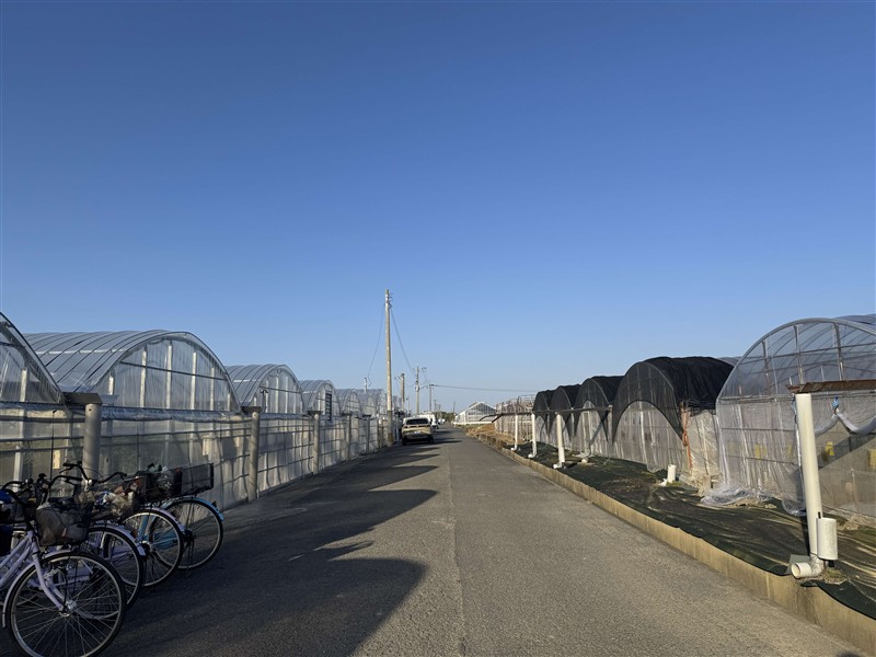 2ビニールハウス