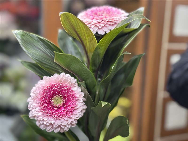 二輪アレンジ（グリーン）