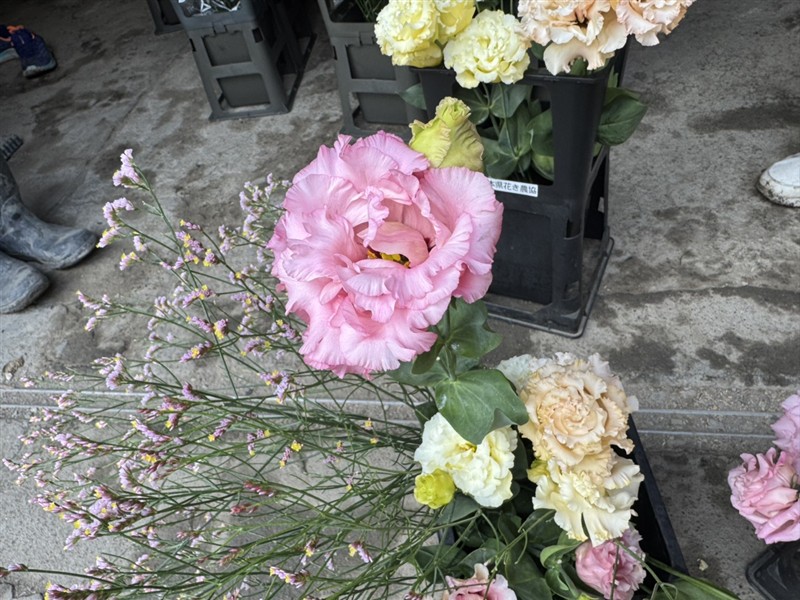 セレブガーネット