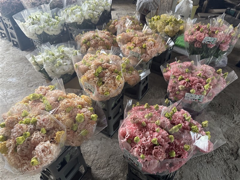 バケツに入っている