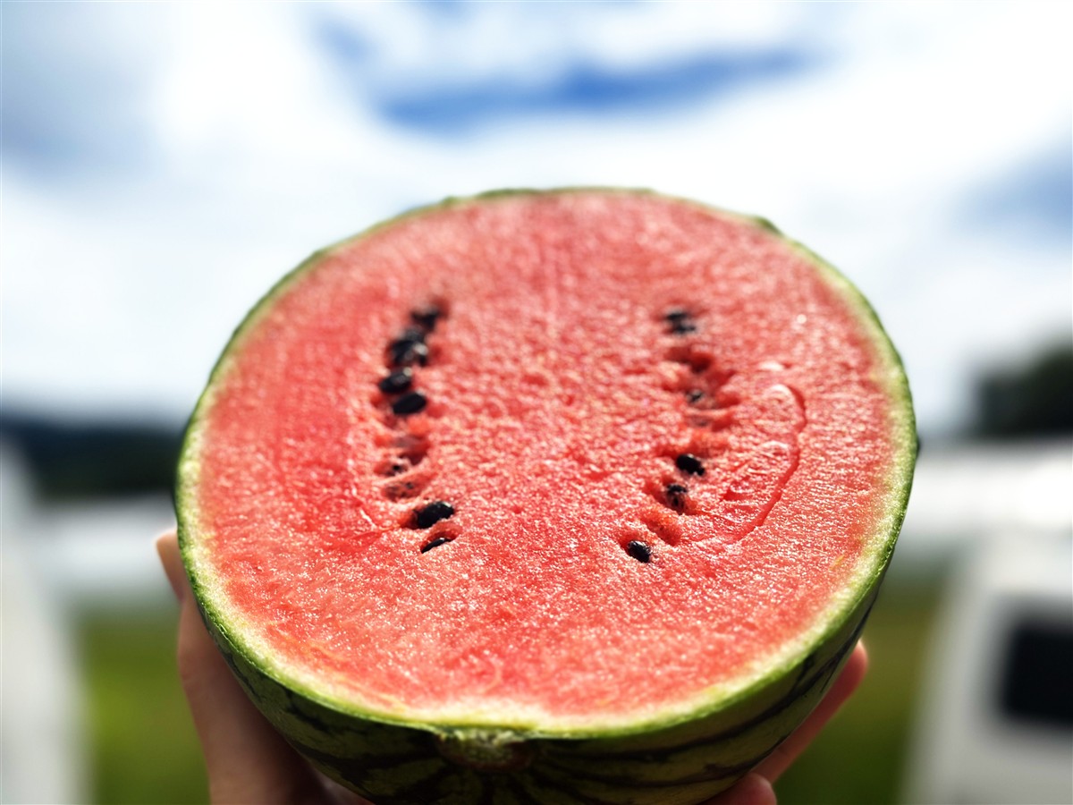 カットしたすいかの画像