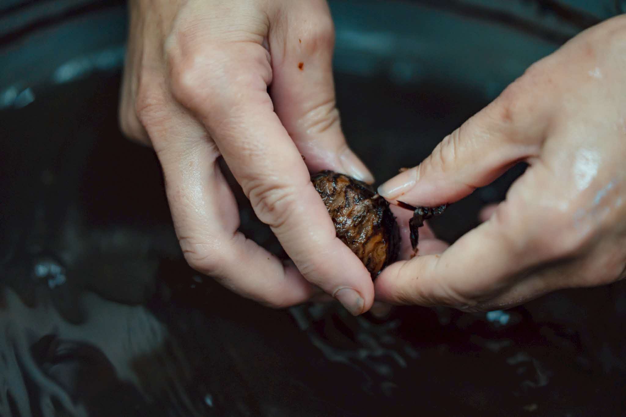 手作業で栗を処理する様子1