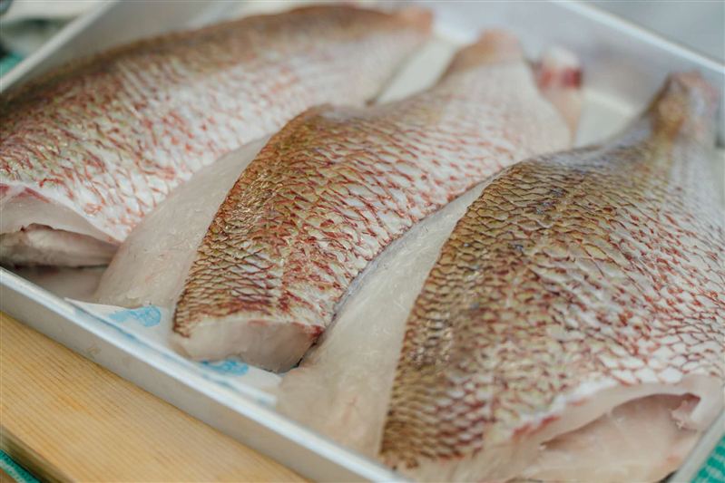 新鮮な鯛の切り身