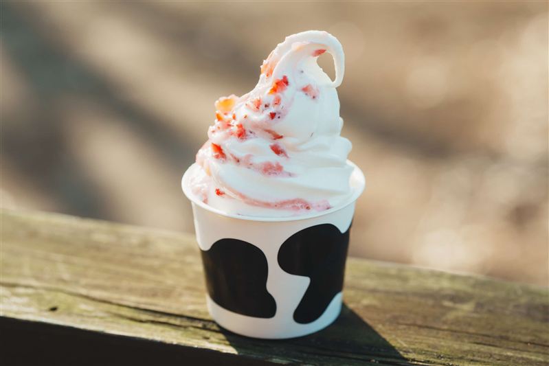 ８　生乳ソフト