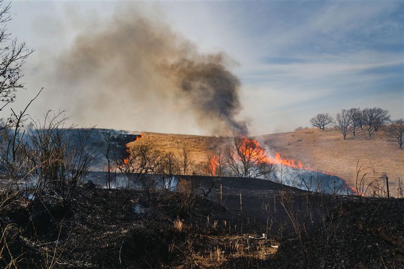 3　野焼きアップ