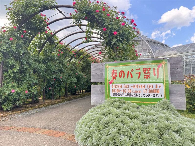 ㉖看板