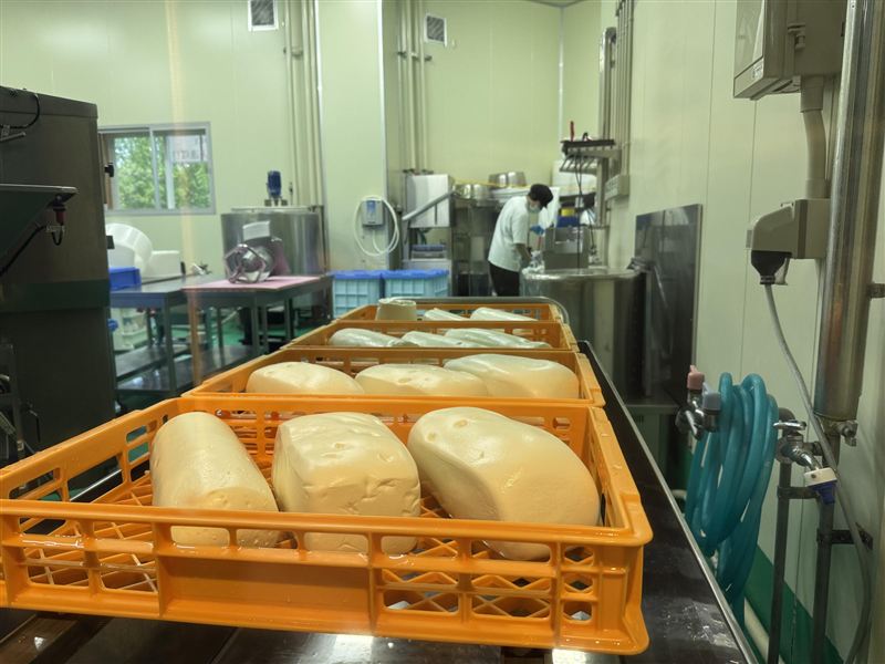 ⑭チーズ製造
