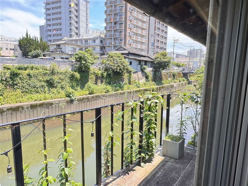 ⑫坪井川
