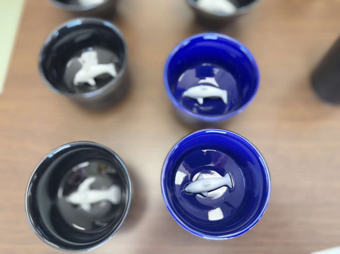 ⑤高浜焼 お猪口