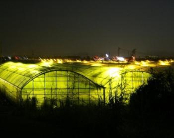 八代平野の夜景「トマト定植後のハウス内の黄色灯点灯」