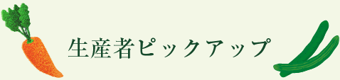 生産者ピックアップ